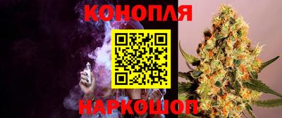 спиды Моздок